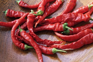 《小狼小狼》优秀读后感（小狼小狼读后感600字）