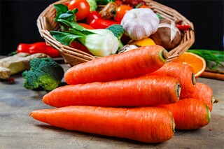 自卫的反义词是什么呢