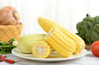 初中放飞梦想的诗（中学生放飞梦想朗诵词）