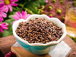 给公司领导道歉信（给公司领导道歉信模板）