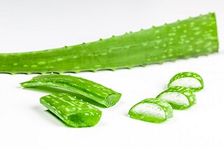 写李白的小学作文_小学生写李白的作文