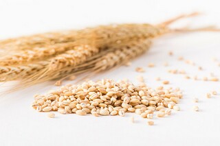 游深圳锦绣中华作文_深圳锦绣中华作文300字