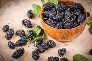 雨中的温暖作文_雨里的温暖作文