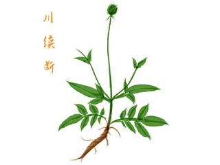 主持人活跃气氛的台词（主持人活跃气氛的话术）