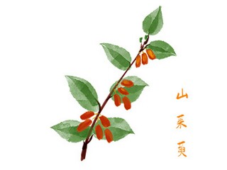 春天文案（春天文案2025最火文案）