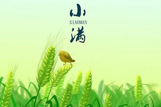 花开的诗句（描写秋天花开的诗句）