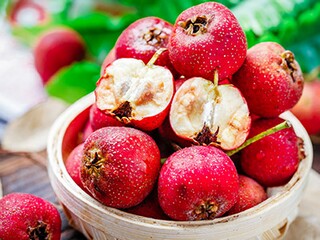 销售冠军获奖感言