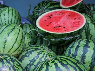 作文国庆之旅600字（国庆节之旅）