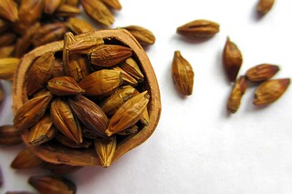 初中初一作文650字：睡美人后记_睡美人后续作文