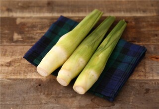 第一次买菜周记_第一次买菜500字作文