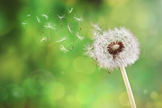 父爱伴我行作文_父爱伴我远行作文