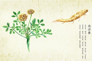 经典有哲理的句子59条_有哲理的语句