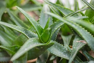 高三霸气励志语录（非常霸气的高三励志语简短）