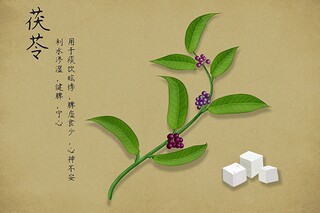 巫峡赏雾的阅读答案_巫峡赏雾阅读主要内容