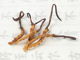 形容时间的成语和造句（形容时间的成语和造句二年级）