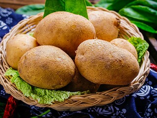 写给恩师的毕业赠言_对自己的恩师毕业赠言