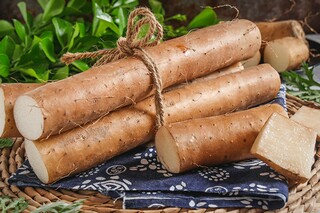 dieof的用法总结（diet 用法）