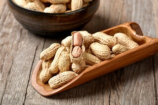 思乡的诗句（描写思乡的诗句）