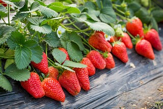 新媒体文案实习岗位职责_新媒体文案岗位发展前景