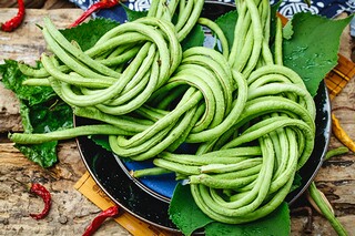 幼儿教师研修感言_幼儿教师研修收获与反思