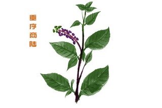 教师节活动策划方案（教师节活动策划方案团建活动）