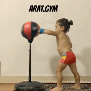 激情绽放青春飞扬演讲稿中学_激扬青春放飞梦想演讲稿500字