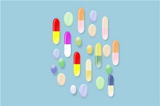 游览西湖作文_游览西湖的作文怎么写