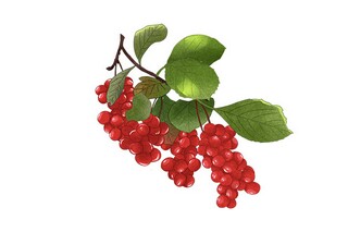 一个人伤感的文案_伤感文案长篇