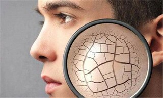 描写桂花的优美段落