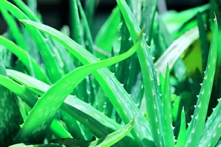 墨染清音笔绘柔心的诗词