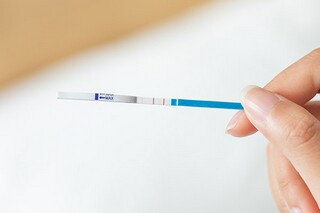 描写初夏天景象的诗句（描写初夏景色的诗句）