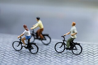 学校的一件事的作文