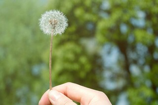 学校元旦主持词（学校元旦主持词主持同学们表演节目的开场词表演节目的）