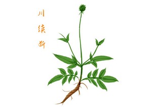 远在他乡的孤独心情句子_远在他乡的说说心情短语