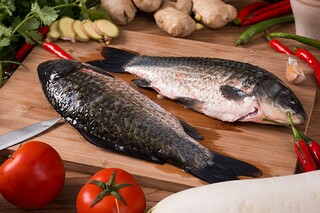 大自然有哪些美妙的声音作文（大自然有哪些美妙的声音写一段话）