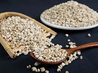 二十年后回故乡作文-五年级-想象_二十年后回故乡0-200字作文