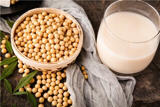 女神节祝福语（女贞子的功效与作用）