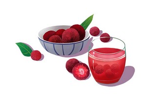 动物说明文作文300字（动物说明文作文600字大全）