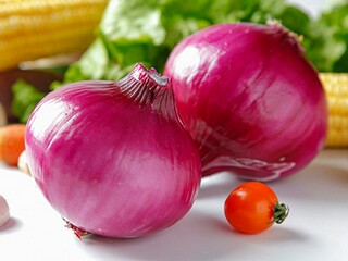 雨中诗歌（雨中诗歌中的第二小题写了雨中森林里的谁谁谁和谁）