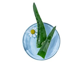 描写山峰的优美段落摘抄