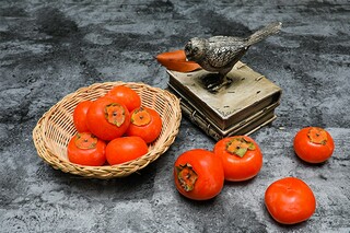 呼吁读书的作文_呼吁读书的倡议书