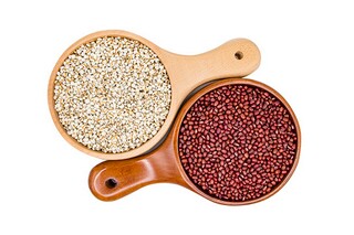 《勤》阅读答案（勤奋阅读答案）