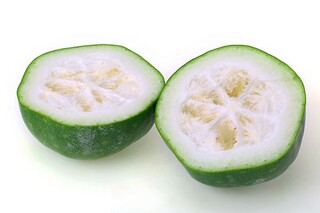 公司请假条格式_公司请假条格式电子版