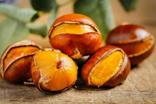 小学班队活动教案_小学班队活动课教案