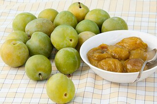 猫咪书店日记（书店日记免费阅读）