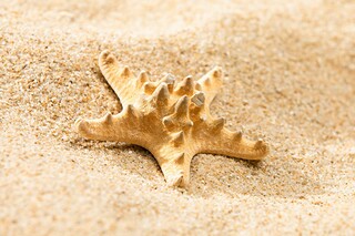 心理部慰问孤寡老人活动策划书_心理部慰问孤寡老人活动策划书怎么写