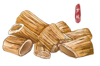 我爱我的班集体主题班会策划书（我爱我的班级主题班会主持词）