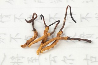 绿色作文500字（《绿色》作文）