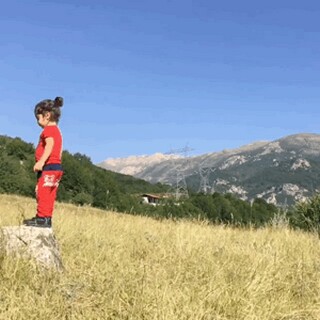 教师说课稿_教师说课稿的正确格式