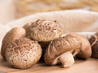 唯美意境阳光句子